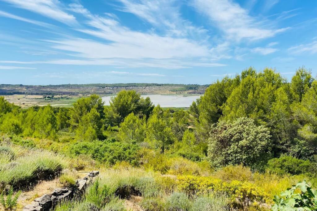 Villa Bahia - Bas De Villa En Pleine Nature ! Saint-Mitre-les-Remparts Екстериор снимка