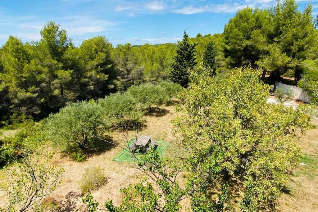 Villa Bahia - Bas De Villa En Pleine Nature ! Saint-Mitre-les-Remparts Екстериор снимка